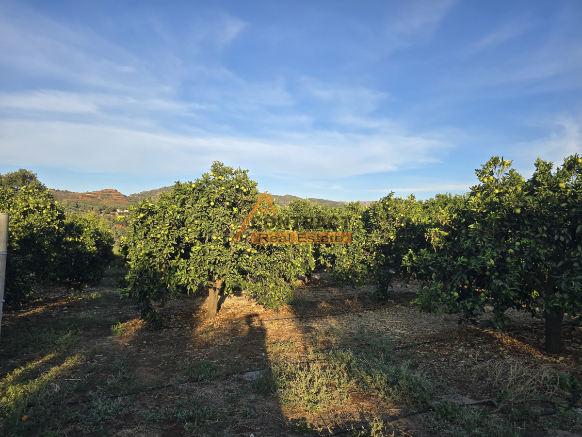 property-img
