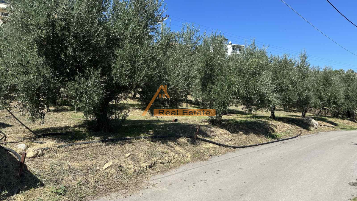 property-img