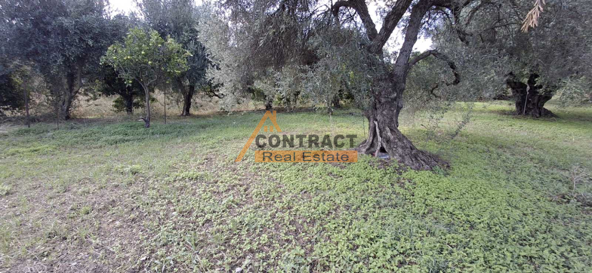 property-img