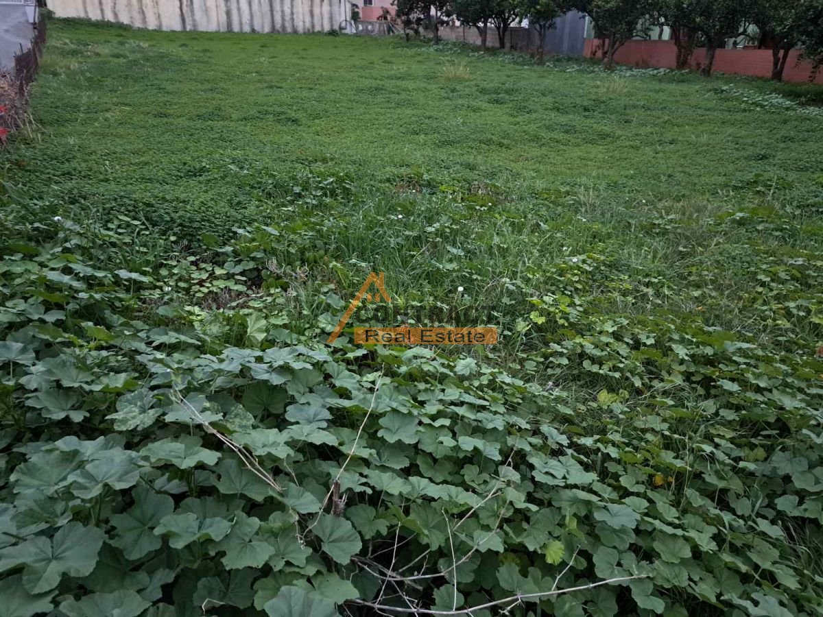 property-img