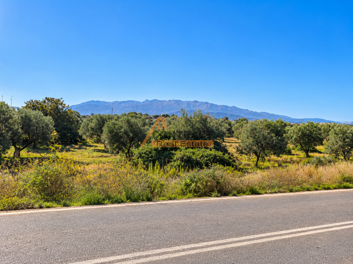 property-img