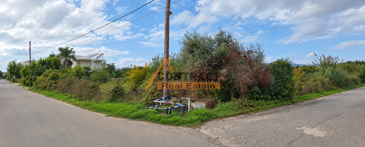 property-img