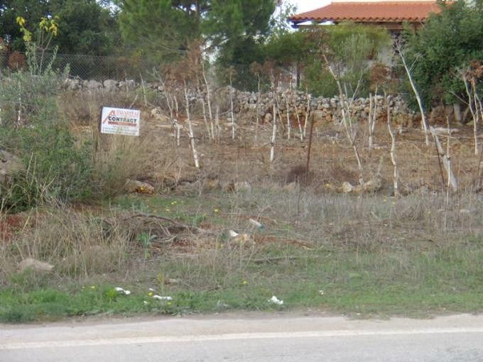 property-img