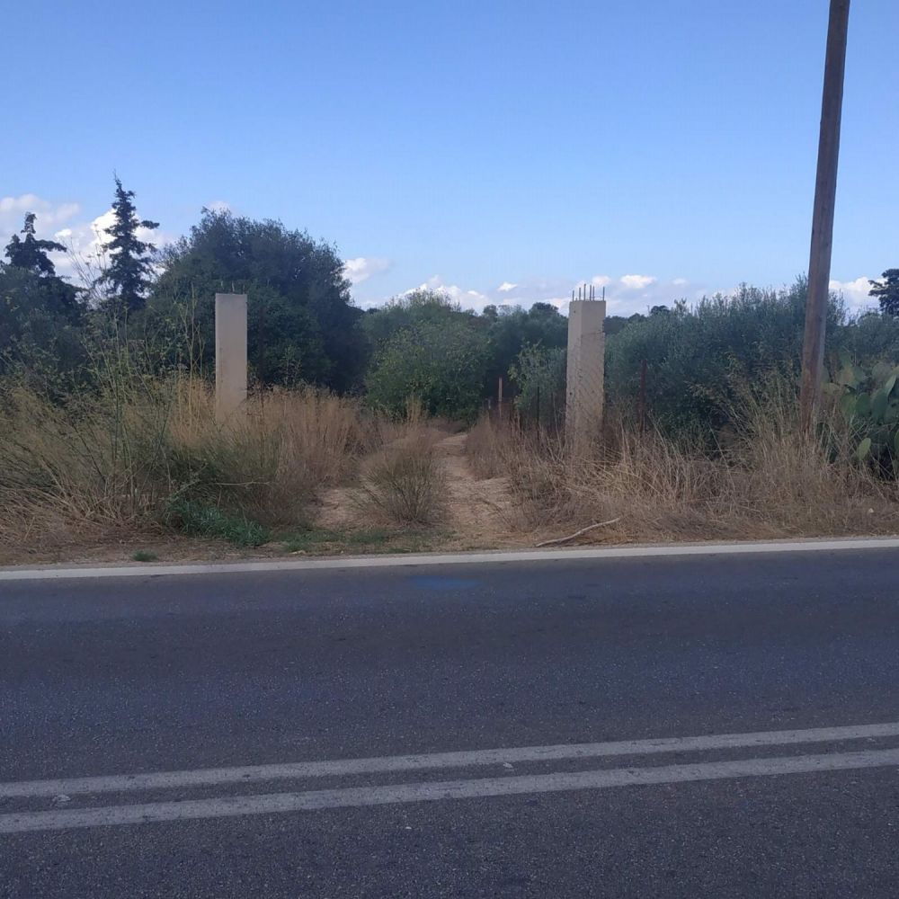 property-img