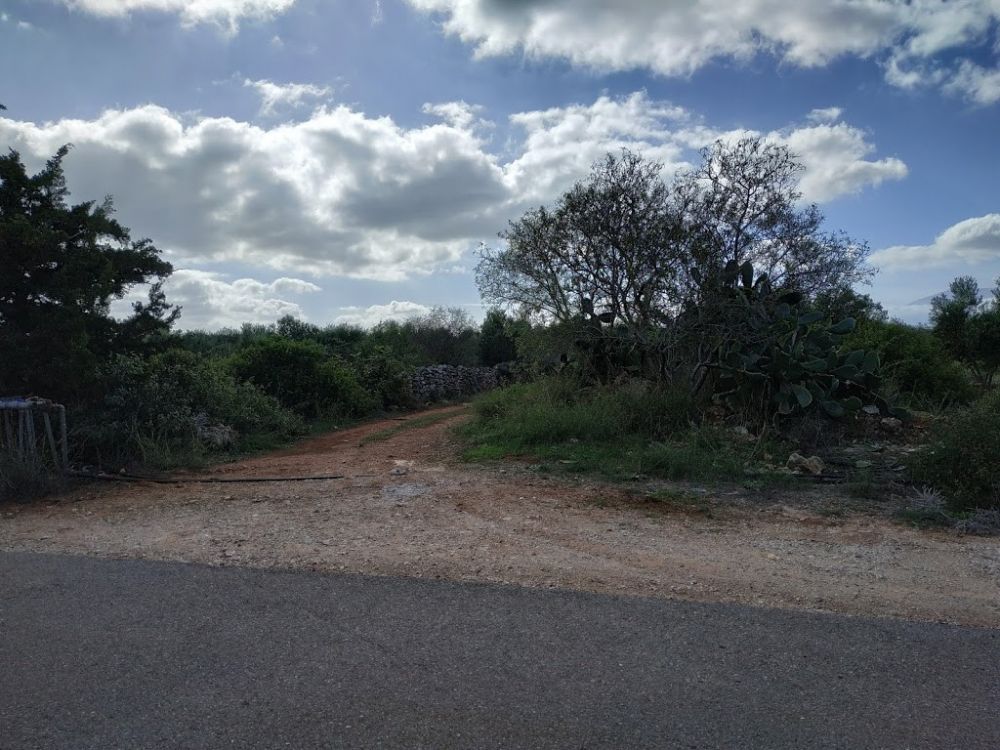 property-img
